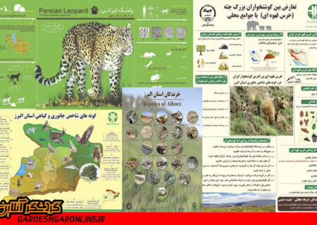 پوستر اینفوگرافی تنوع زیستی و جانوری استان البرز در فضای مجازی منتشرشد