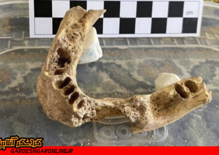 کشف بقایای کفتار غارنشین در قدیمی‌ترین محوطه باستانی ایران