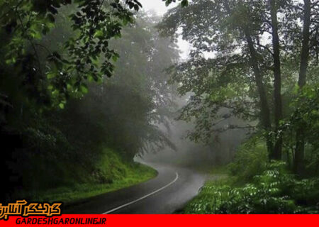 زیباترین جاده جنگلی جهان در مازندران نیازمند امکانات و خدماتی مناسب