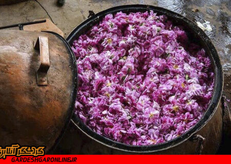 برپایی جشنواره گلاب‌گیری در محوطه کاخ مروارید