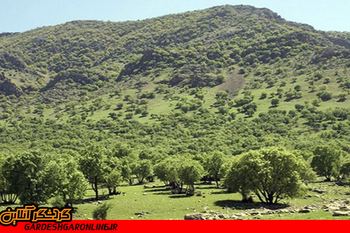 مراتع محول‌شده منابع طبیعی استان سمنان به ۱.۹ میلیون هکتار رسید