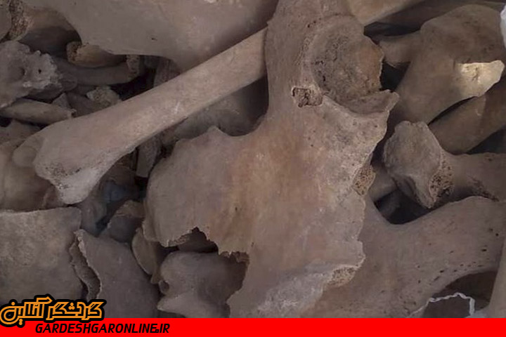 بقایای اسکلت ۲ انسان در کدکن تربت‌حیدریه کشف شد