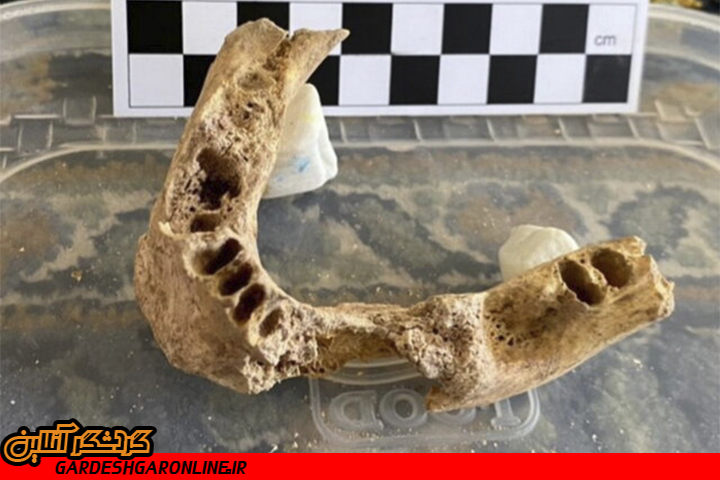 کشف بقایای کفتار غارنشین در قدیمی‌ترین محوطه باستانی ایران