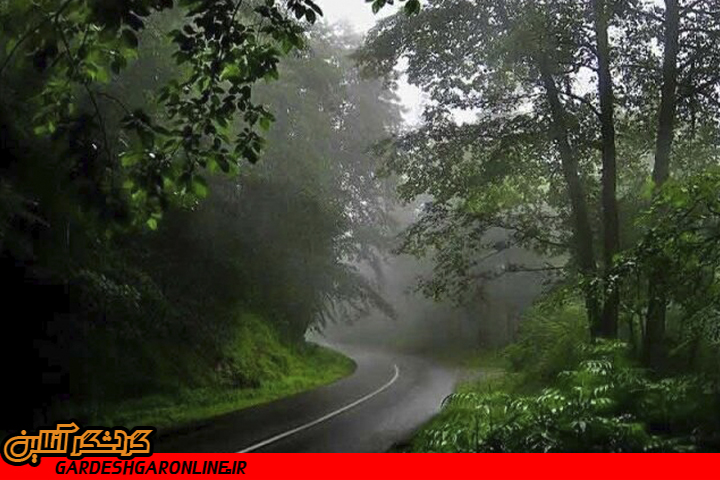 زیباترین جاده جنگلی جهان در مازندران نیازمند امکانات و خدماتی مناسب