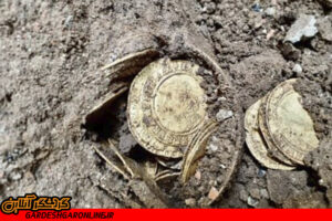 سکه‌های تاریخی طلا در یک آشپزخانه کشف شد