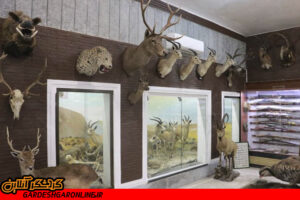 خراسان رضوی دارای ۱۲ موزه تاریخ طبیعی است