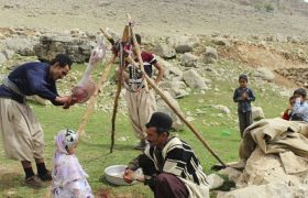 نخستین رویداد ملی گردشگری عشایر در شیراز برگزار می‌شود