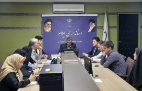 رفع مشکلات صنعتگران صنایع‌دستی ایلام در دستور کار استانداری