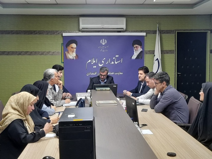 رفع مشکلات صنعتگران صنایعدستی ایلام در دستور کار استانداری